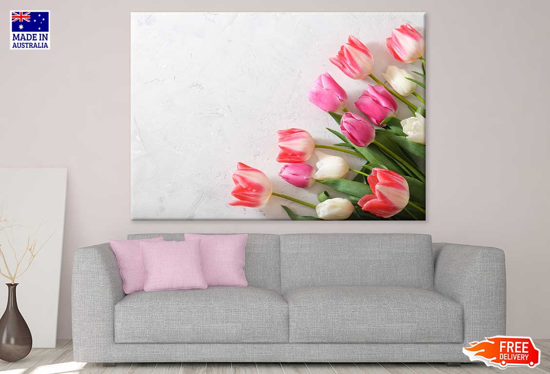 Pink White Tulip Flowers View Photograph Print 100% Australian Made