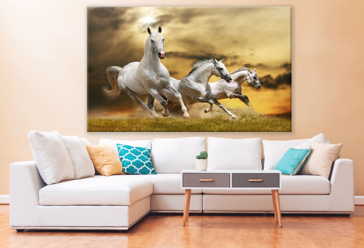 White Horses Running Dust Photograph Print 100% Australian Made