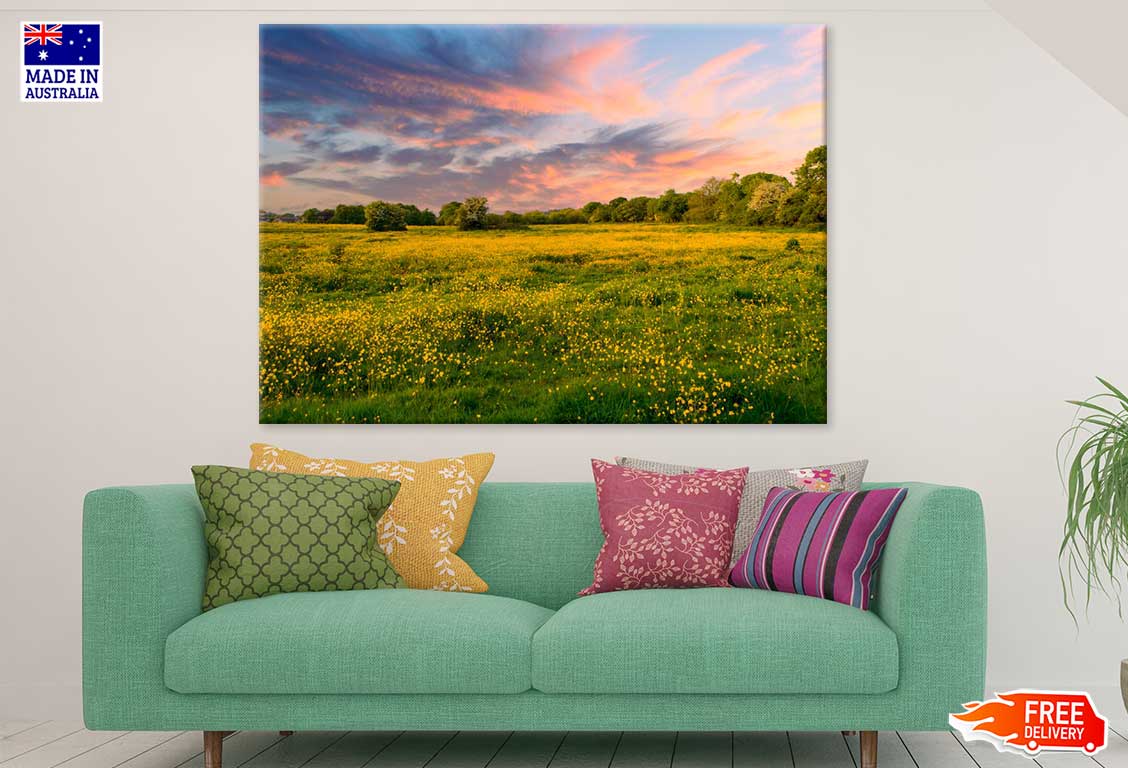 Wild Yellow Flower Field View Photograph Print 100% Australian Made