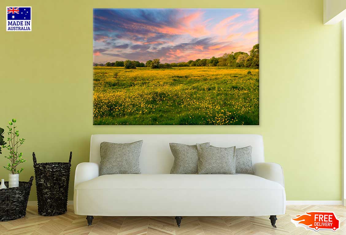 Wild Yellow Flower Field View Photograph Print 100% Australian Made