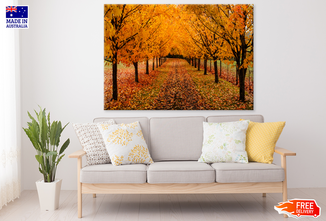 Autumn Trees & Road View Photograph Print 100% Australian Made