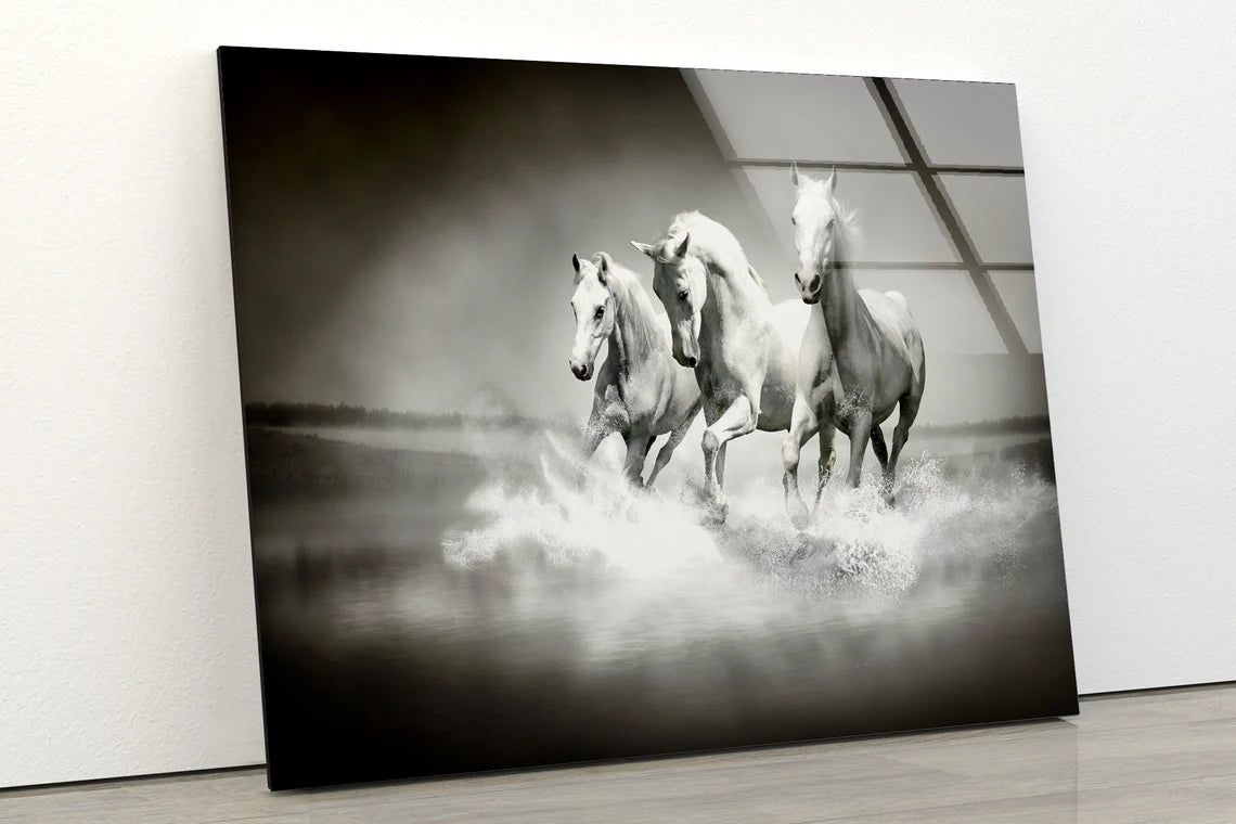 White Horse Running on Beach B&W Photograph Acrylic Glass Print Tempered Glass Wall Art 100% Made in Australia Ready to Hang