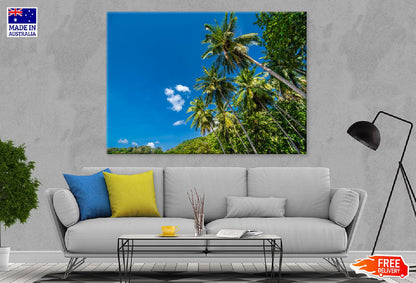 Coconut Palm Trees with Blue Sky Photograph Print 100% Australian Made