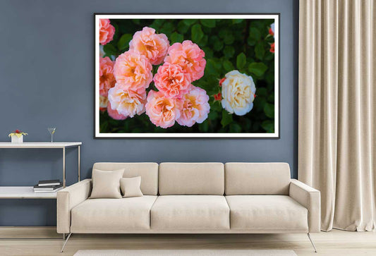 Floribunda Roses Closeup View Photograph Home Decor Premium Quality Poster Print Choose Your Sizes