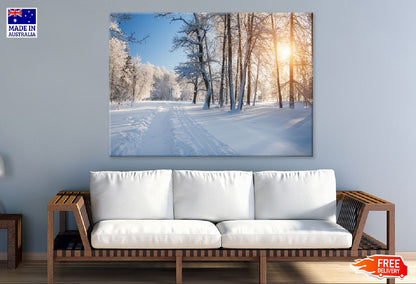 Snow Trees Pathway Sunset View Photograph Print 100% Australian Made