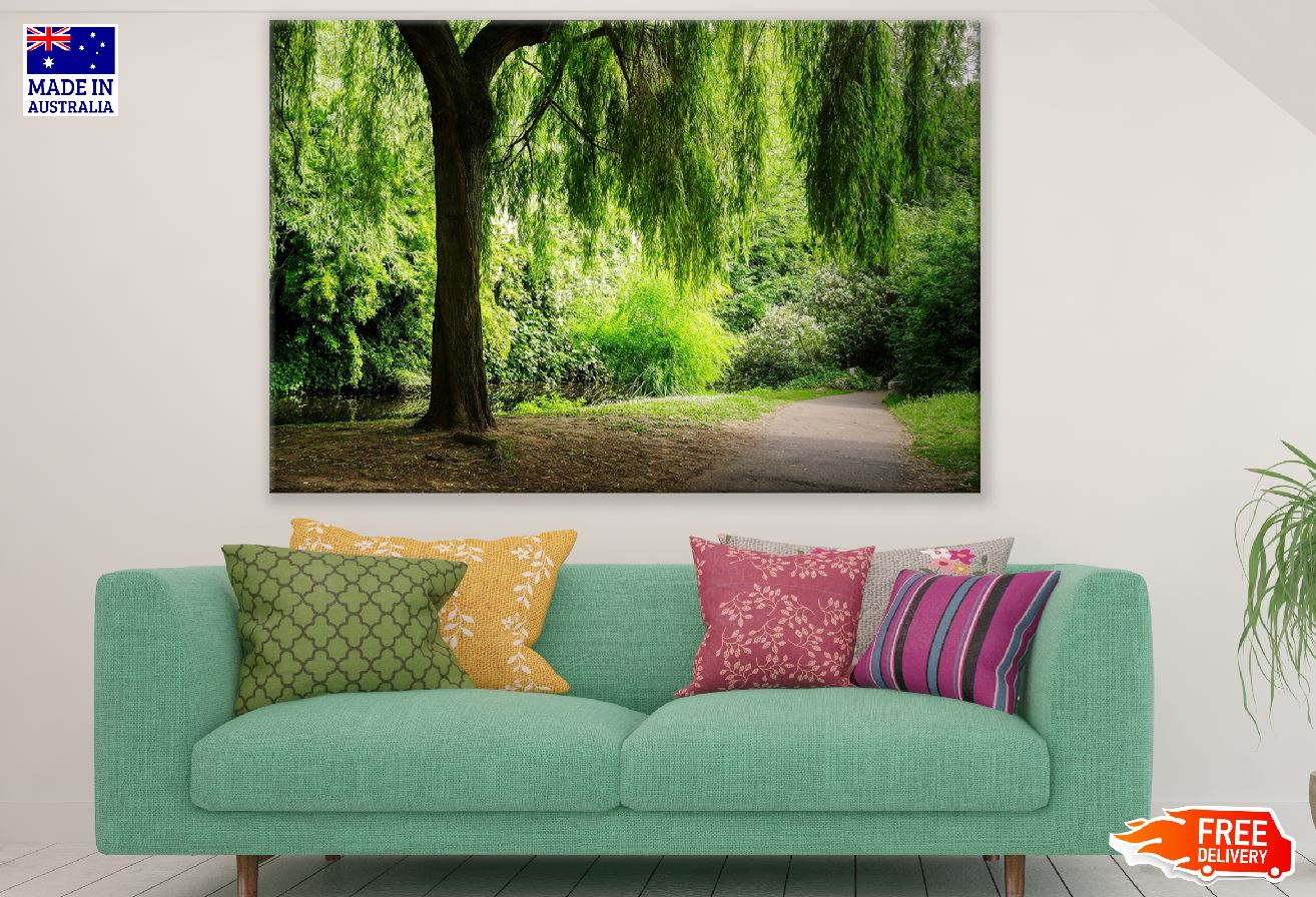 Road Covered with Weeping Willow Tree Photograph Print 100% Australian Made