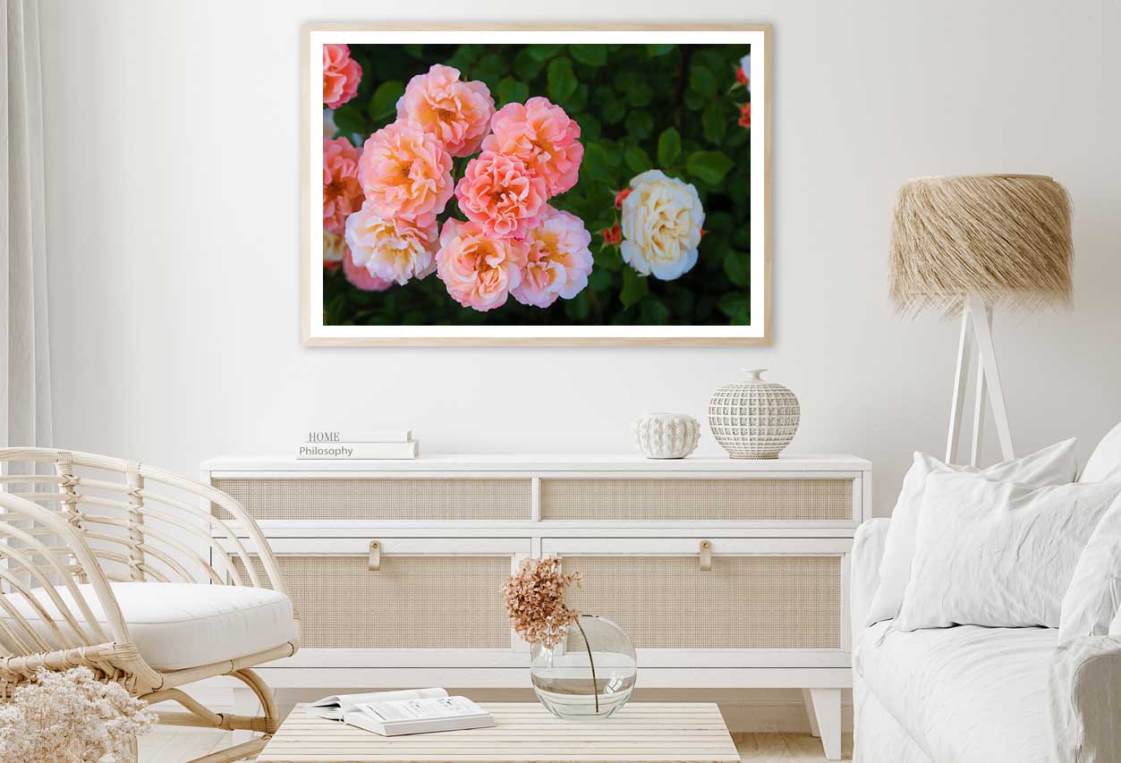 Floribunda Roses Closeup View Photograph Home Decor Premium Quality Poster Print Choose Your Sizes