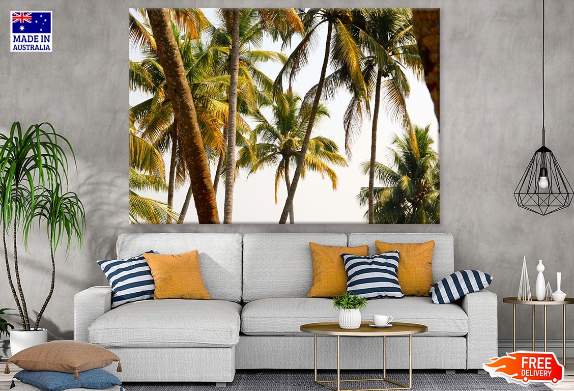 Palm Trees Closeup Photograph Print 100% Australian Made