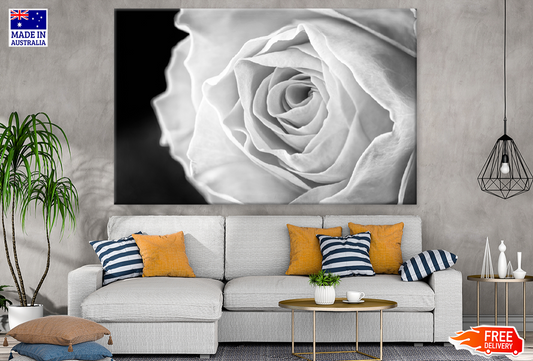 B&W Rose Flower Closeup Photograph Print 100% Australian Made