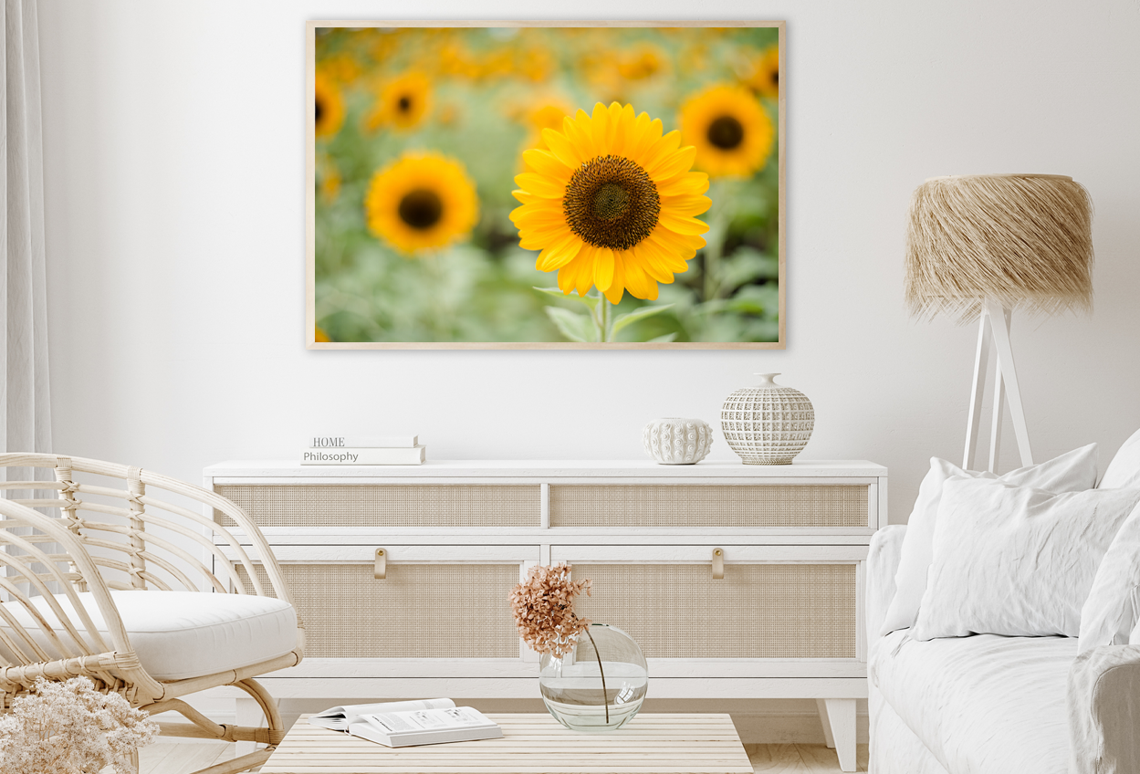 Closeup of Blooming Sunflower Home Decor Premium Quality Poster Print Choose Your Sizes