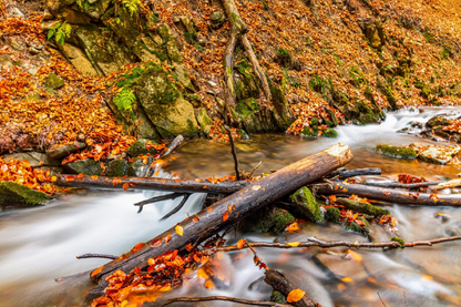 Waterfall & Autumn Leaves Photograph Print 100% Australian Made