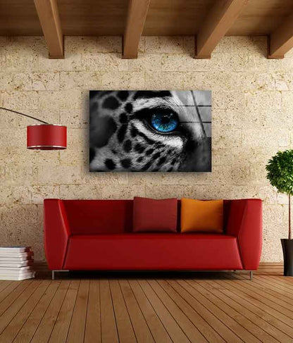 B&W Leopard Blue Eye Photograph Acrylic Glass Print Tempered Glass Wall Art 100% Made in Australia Ready to Hang