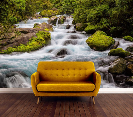 Wallpaper Murals Peel and Stick Removable Stunning Water Stream in Deep Forest High Quality