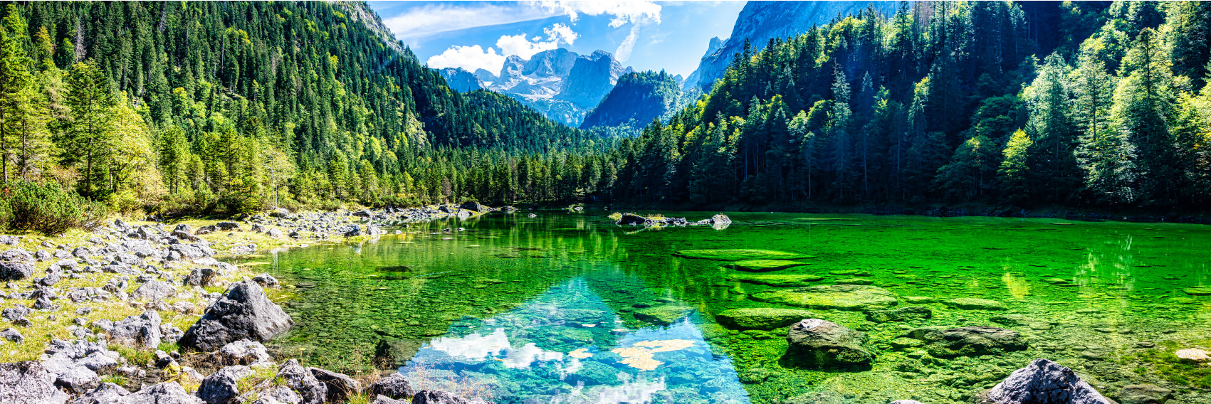 Panoramic Canvas Gosausee Green Lake With Trees High Quality 100% Australian Made Wall Canvas Print Ready to Hang