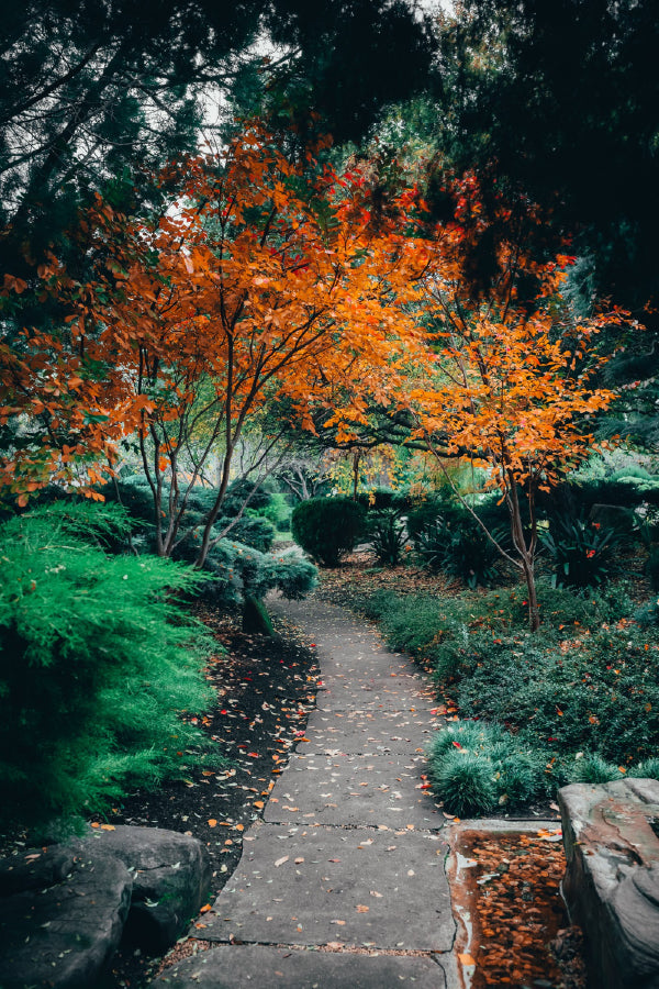 Adelaide Himeji Garden View Photograph Japan Home Decor Premium Quality Poster Print Choose Your Sizes