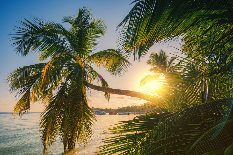 Bella Home Sunrise Shot Of Tropical Island Beach Print Canvas Ready to hang