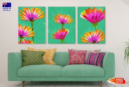 3 Set of Colourful Daisy Flowers Painting High Quality print 100% Australian made wall Canvas ready to hang