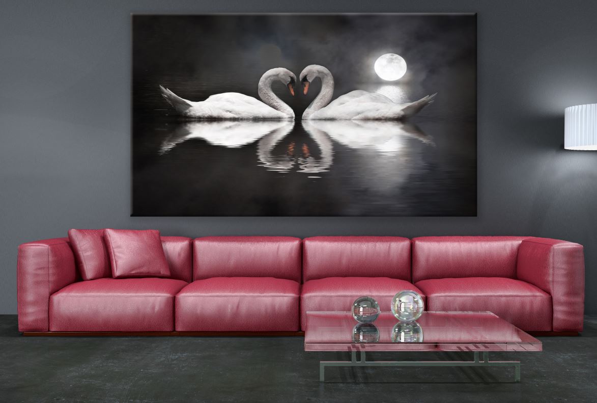 Swan Couple Night Photograph Print 100% Australian Made