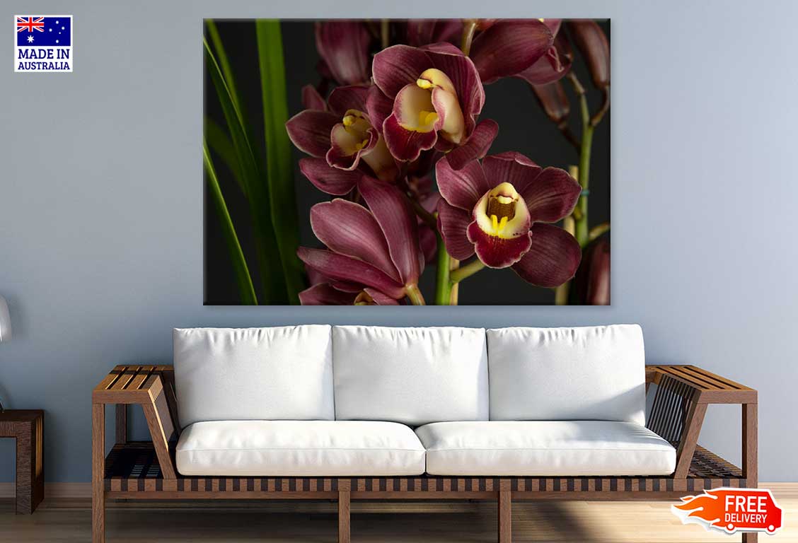 Red Orchids Closeup Photograph Print 100% Australian Made