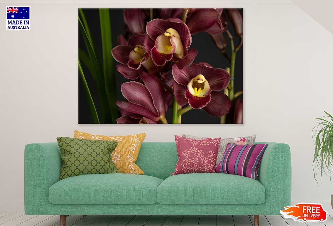 Red Orchids Closeup Photograph Print 100% Australian Made