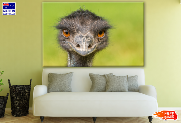 Australian Native Emu Bird Portrait Photograph Print 100% Australian Made