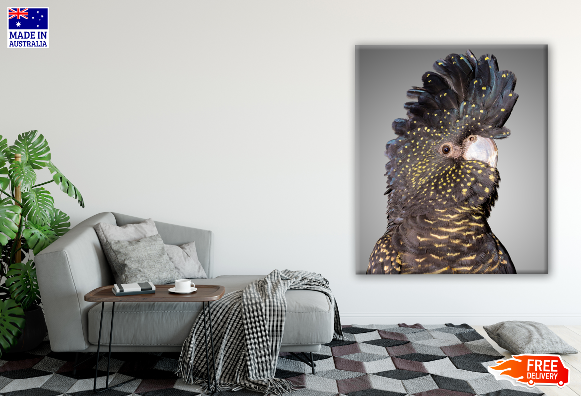 Australian Native Red Tailed Black Cockatoo Portrait Photograph Print 100% Australian Made