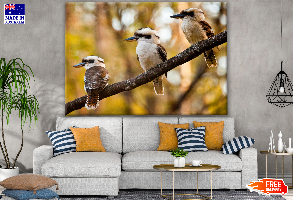 Australian Native Three Kookaburra Birds Photograph Print 100% Australian Made