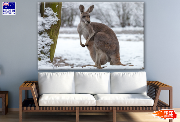 Australian Native Kangaroo ona Snow Ground Winter Photograph Print 100% Australian Made