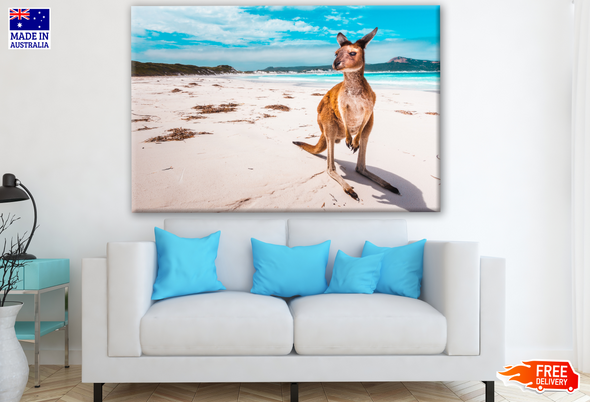 Australian Native Kangaroo on a Bright Beach Photograph Print 100% Australian Made