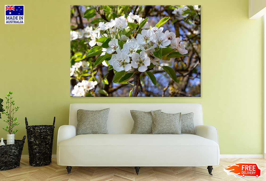 White Cherry Blossom Flowers View Photograph Print 100% Australian Made