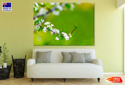 White Blossom Flower Tree Branch View Photograph Print 100% Australian Made