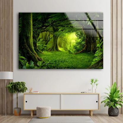 Deep Forest Photograph Acrylic Glass Print Tempered Glass Wall Art 100% Made in Australia Ready to Hang