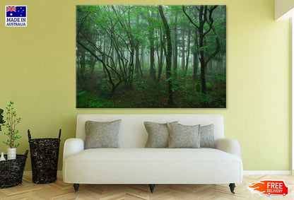 Misty Forest Photograph Print 100% Australian Made