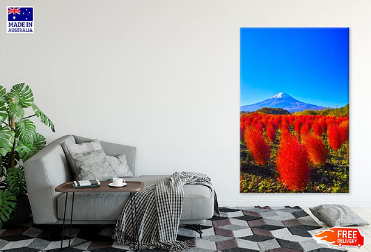 Red Leaves Blooming on Mountain Photograph Print 100% Australian Made