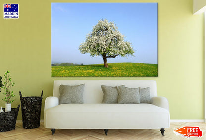 White Flower Tree Photograph Print 100% Australian Made