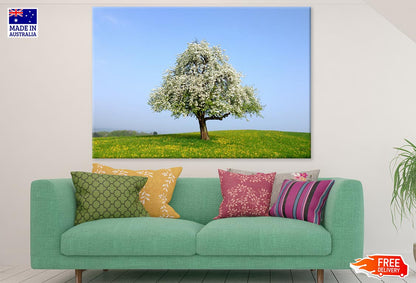 White Flower Tree Photograph Print 100% Australian Made