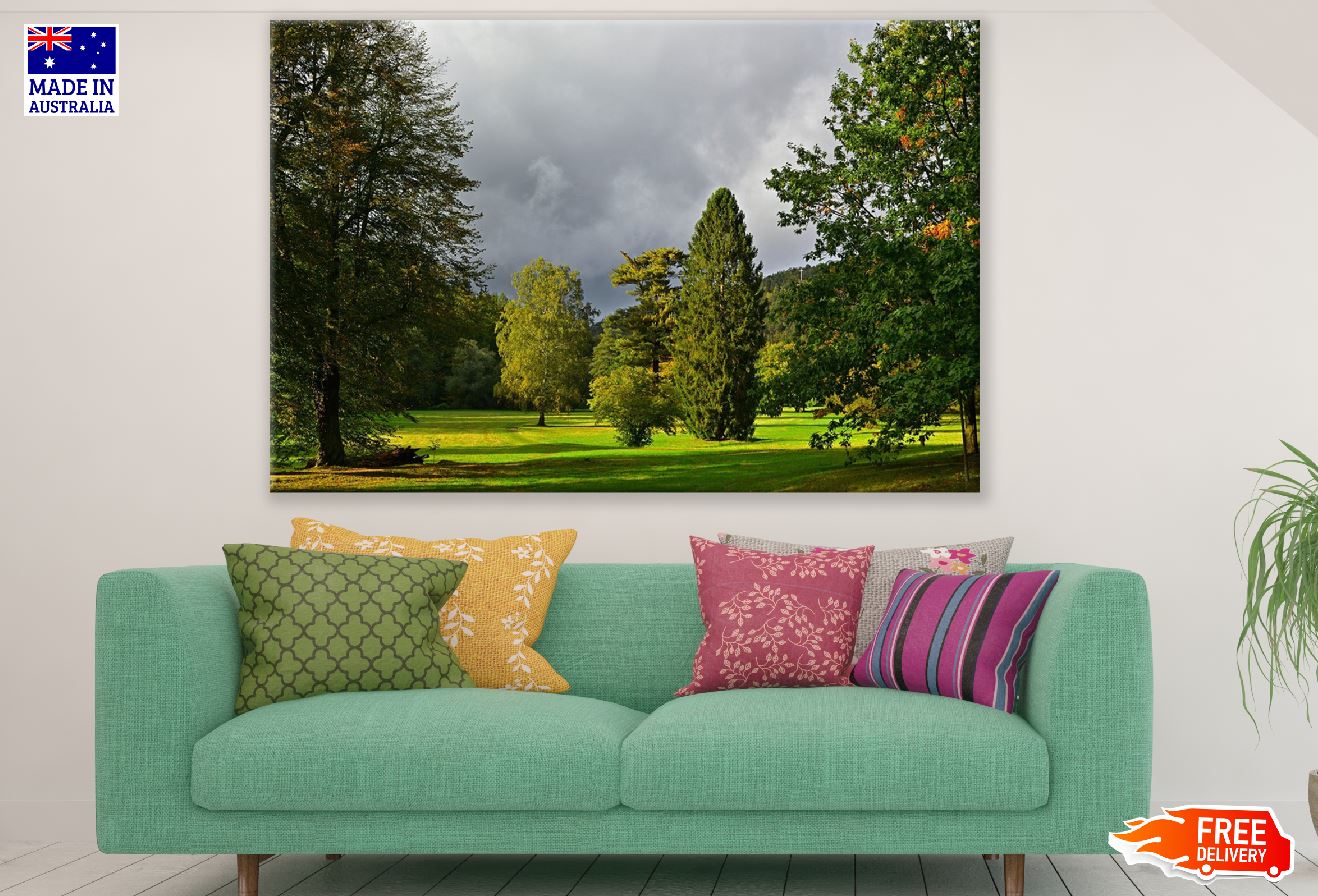 Green Park & Autumn Trees Photograph Print 100% Australian Made