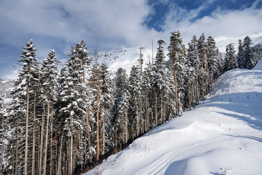 Snow Covered Trees on Mountain View Photograph Print 100% Australian Made