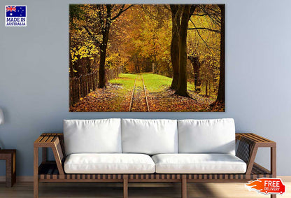 Rail track in Autumn Forest Photograph Print 100% Australian Made