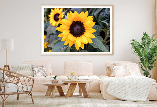 Sunflowers with Leaves Photograph Home Decor Premium Quality Poster Print Choose Your Sizes