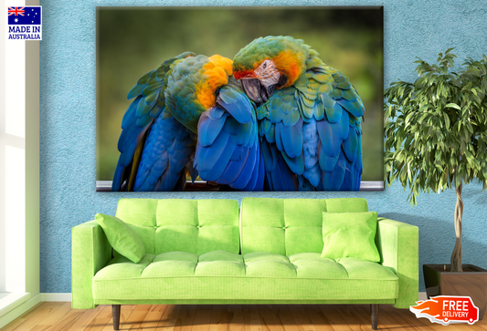 Macaw Parrots Photograph Print 100% Australian Made