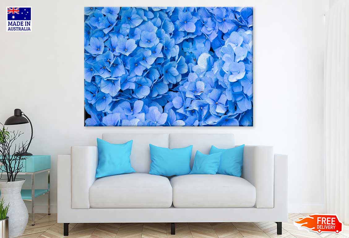 Blue Hydrangea Flowers Photograph Print 100% Australian Made