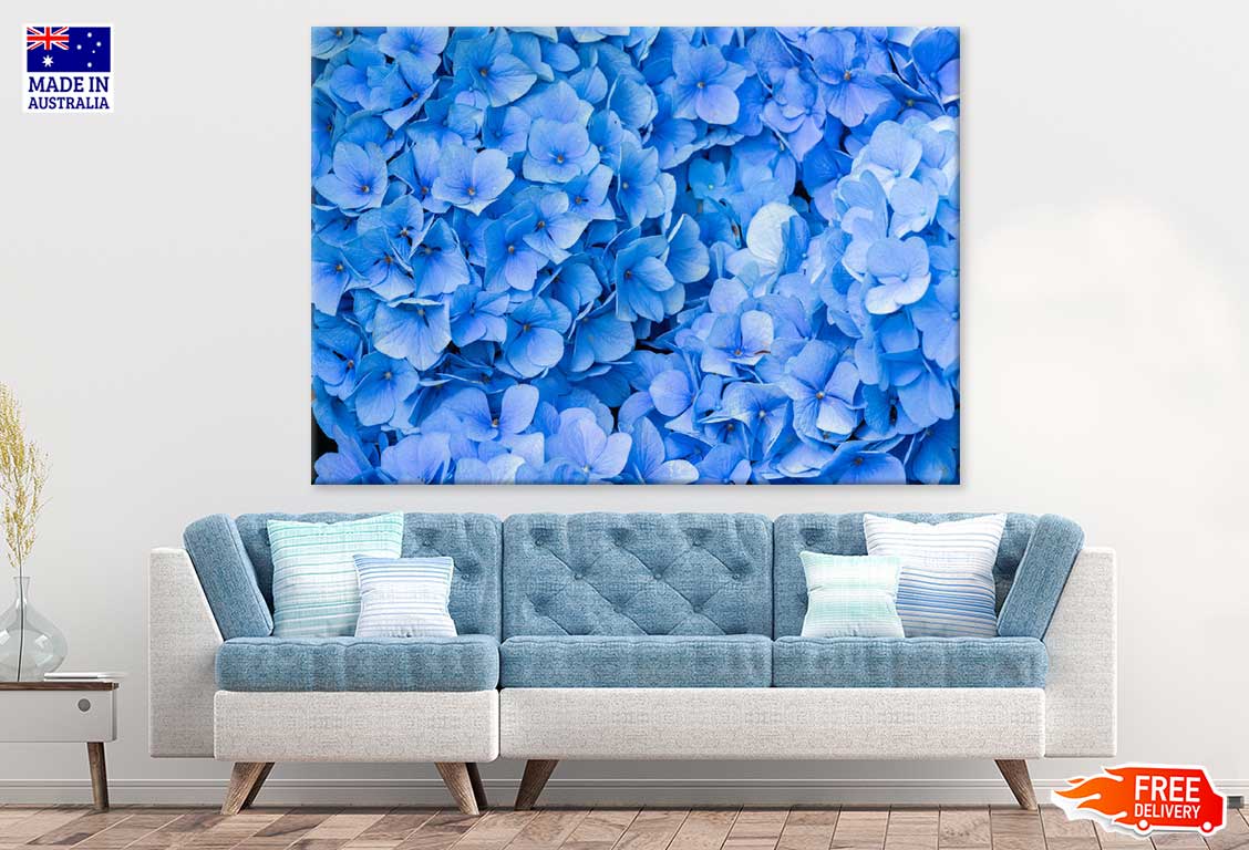 Blue Hydrangea Flowers Photograph Print 100% Australian Made