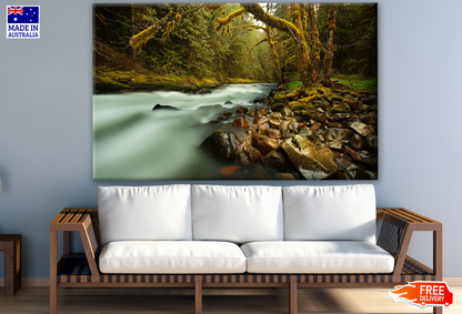 Froest & Stream Photograph Print 100% Australian Made