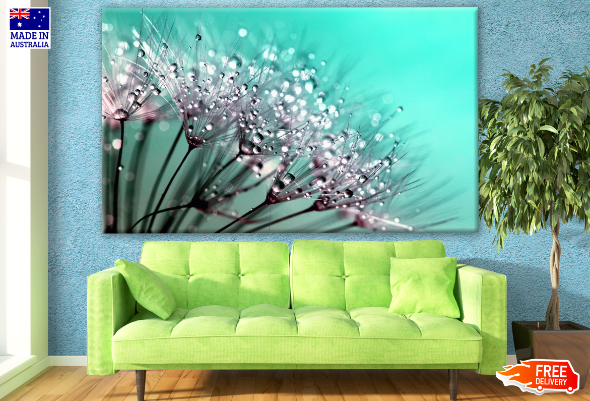 Water Splash on Dandelion Flowers Photograph Print 100% Australian Made