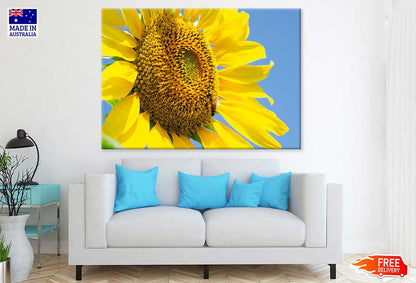 Sunflower Closeup View Photograph Print 100% Australian Made