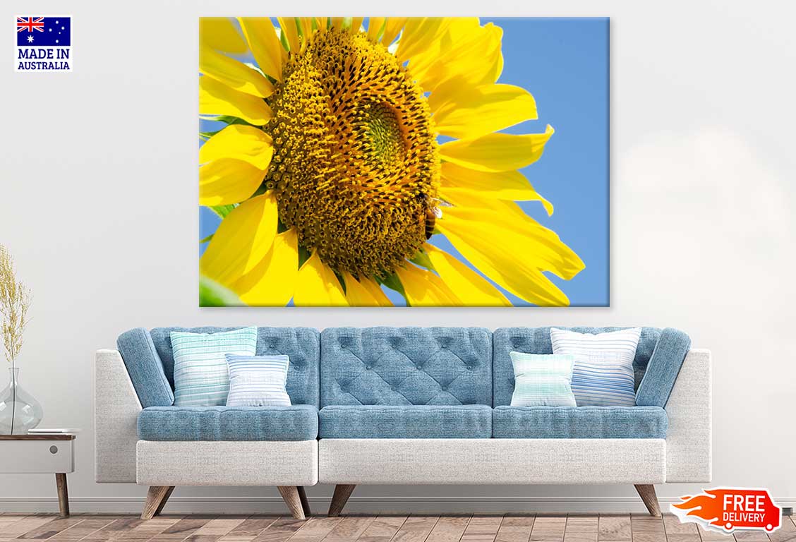 Sunflower Closeup View Photograph Print 100% Australian Made