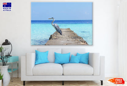 Heron Bird Standing on Shore Photograph Print 100% Australian Made