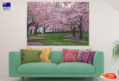 Blossom Tree Park Photograph Print 100% Australian Made