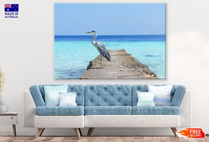 Heron Bird Standing on Shore Photograph Print 100% Australian Made